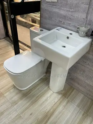 Top Quality Water Closet With Basing and Pedestal Available