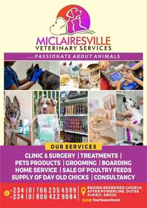 Quality Veterinary Services for Your Pets
