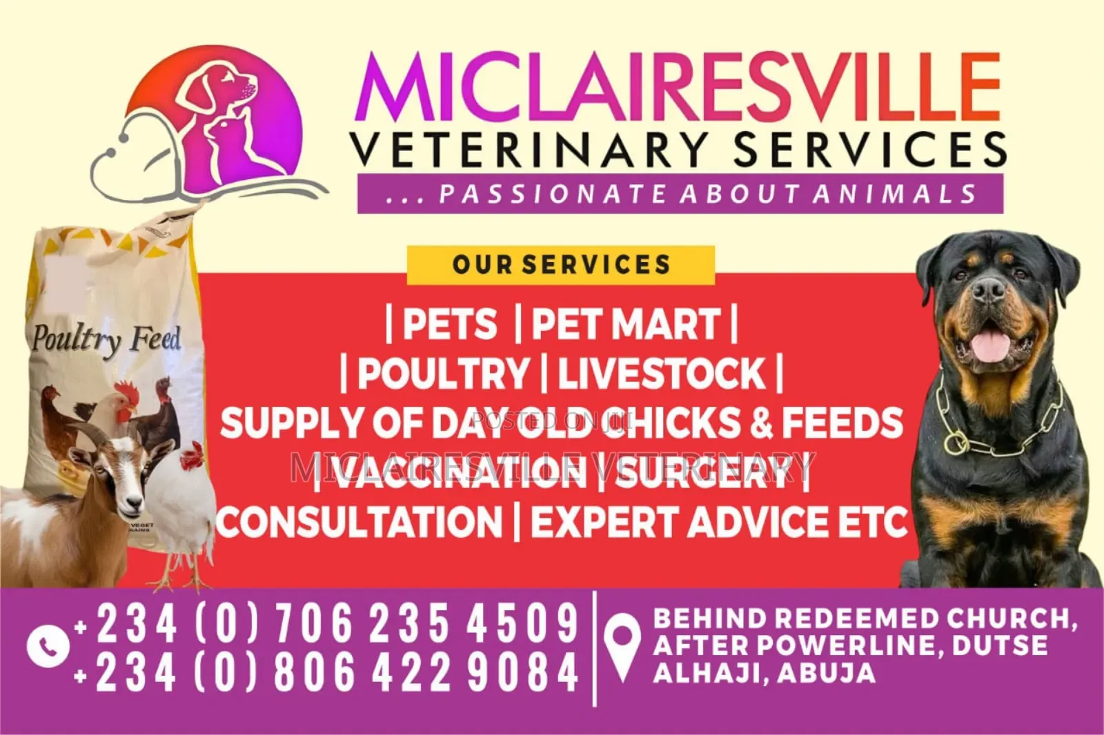Quality Veterinary Services for Your Pets