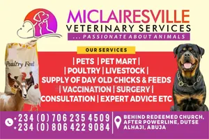 Quality Veterinary Services for Your Pets