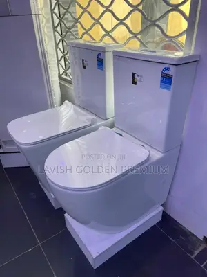 High Quality Pure White Water Closet With Basin and Pedestal