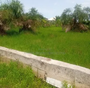 One Plot Plus for Sale