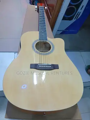 Smiger Semi Acoustic Guitar
