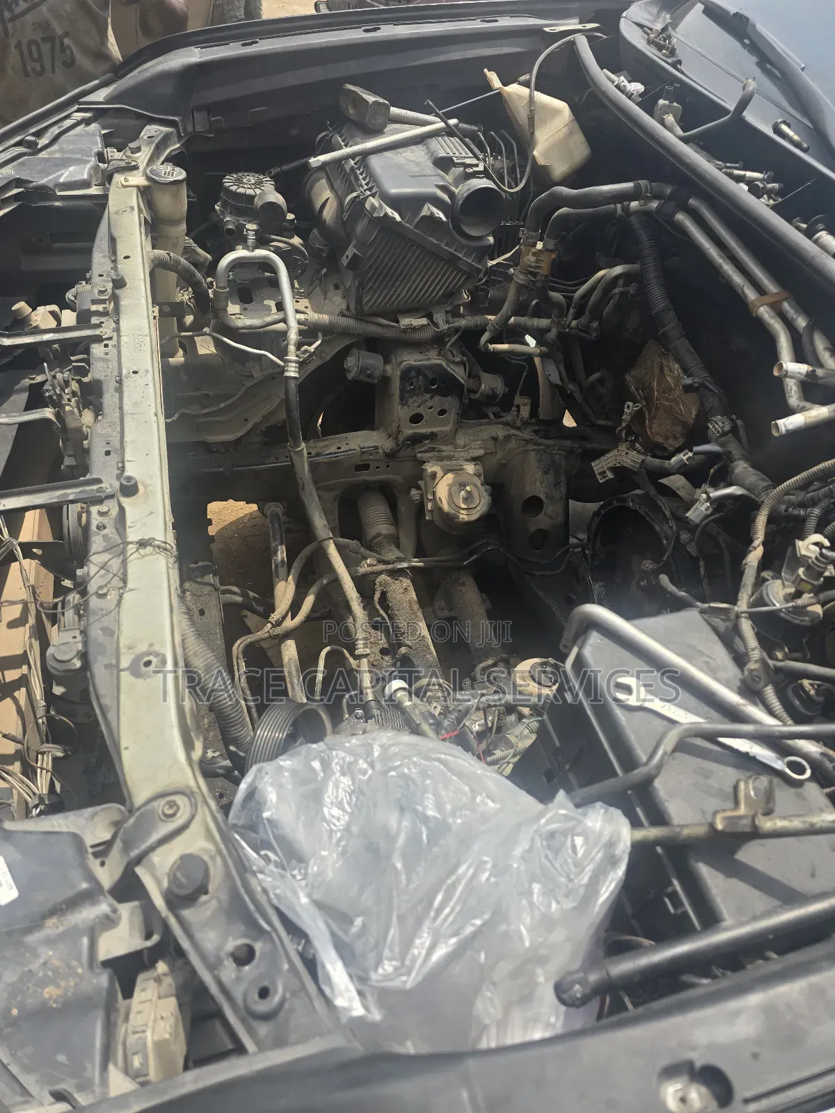 Auto Mechanic