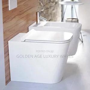 Floor Mount Concealed Tank Water Cistern