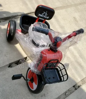 Tricycle Unisex Kids Cute Bicycle Ages 1-4years