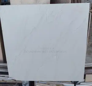 Porcelain Floor Tiles From Odw Ventures