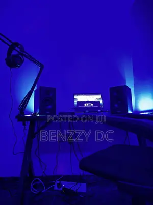 Music Producer/Mixing and Mastering