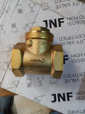 1" Italy Brass Non-Return Valve