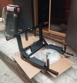 Wall Mounted Pull Up And Dip Station