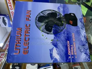 Lithium Electric Fan