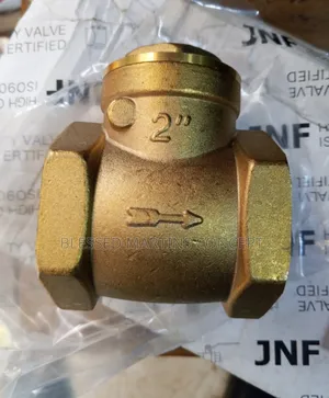 2" Italy Brass Check Valve (Non-Return Valve)