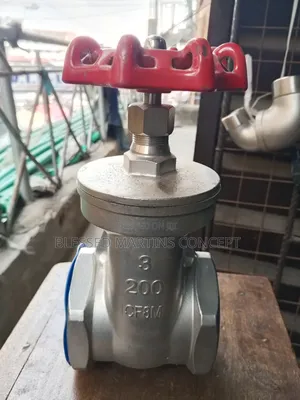 3" Stainless Steel Gate Valve