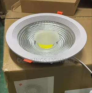 Pop Ceiling Cob Light 30watts Led Lighting