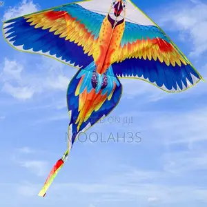 Colorful Eagle Flying Kite for Kids Adults - Easy to Fly