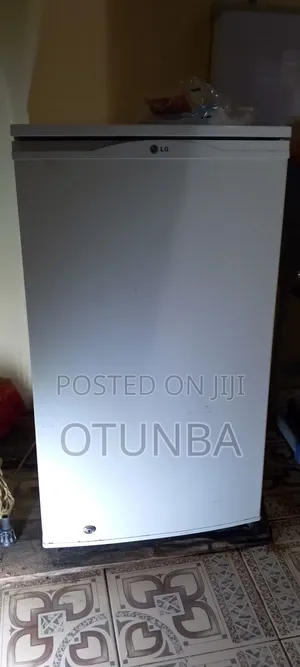 Fridge Lg Product