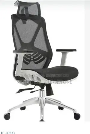 Executive Mesh Chair