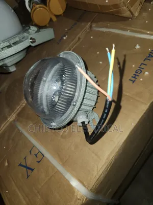 100w Explosion Proof Security Hanging Light