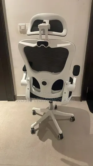 Trendy Egornomic Office Swivel Chair With Lumbar Support - White