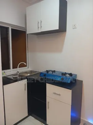 A Mini L Shaped Kitchen Cabinets