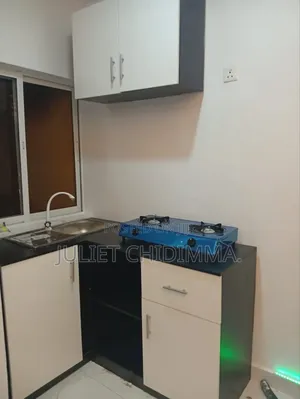 A Mini L Shaped Kitchen Cabinets