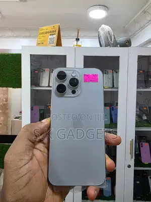 Apple iPhone 16 Pro Max 256 GB Silver