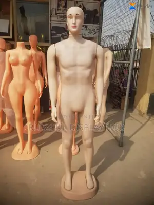 Male Mannequin