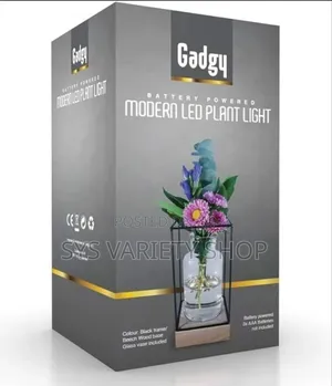 Illuminated Glass Vase / Led Flower Vase for Living Room