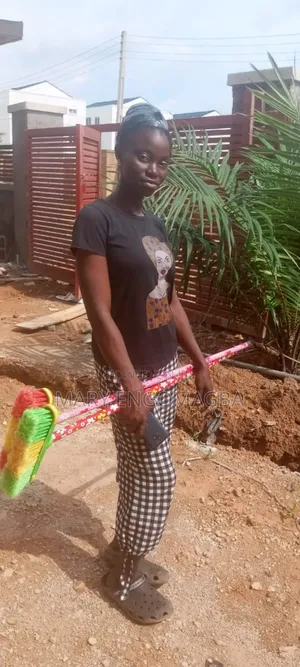 Professional Cleaning Services In Abuja (Homes Offices)