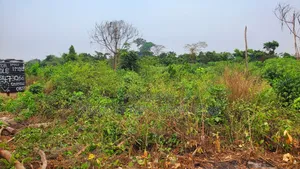 Land Property