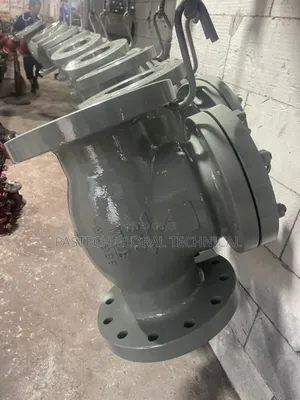 6" Cl300 WCB Carbon Steel Check Valve
