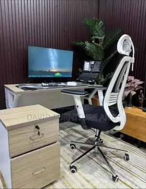 Beautiful Ergonomic Chair (404)