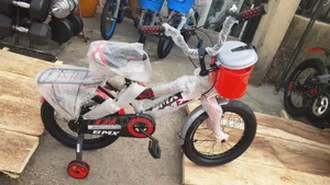 Size 16 Bicycle