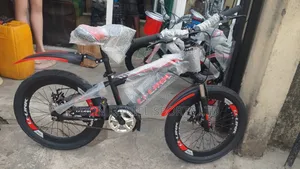Size 20 Bicycle