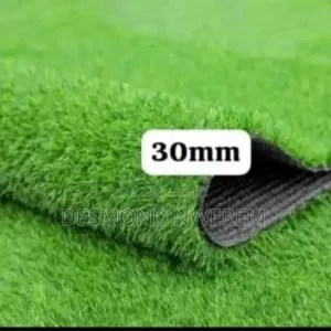Synthetic Grass