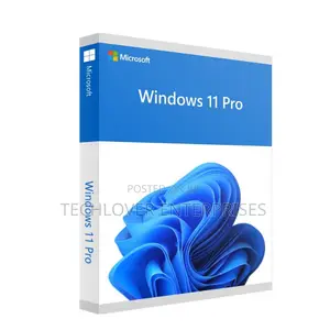 Windows 11 Pro 1 User Oem