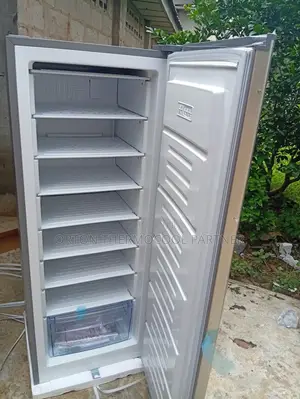 Skyrun Upright Freezer