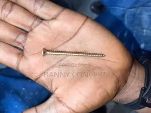 300 PCS 4x60 Chipboard Screw