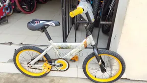 Size 16 Kids Bike Grey for Age 3 to 6