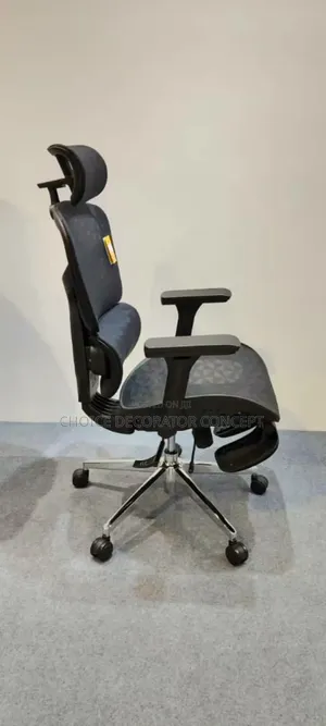 Premium Black Mesh Ergonomic Office Chair