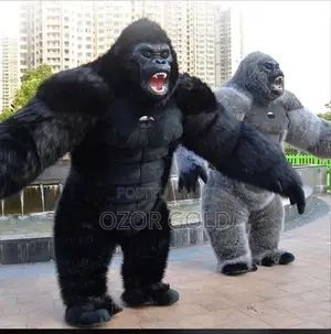 Gorrila Custom