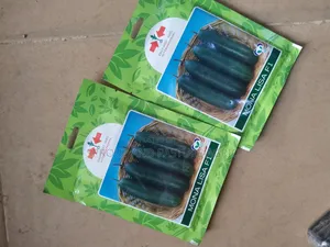 Monalisa Cucumber Seeds