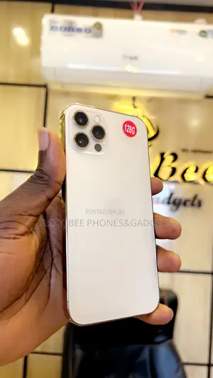 Apple iPhone 12 Pro 128 GB Gray