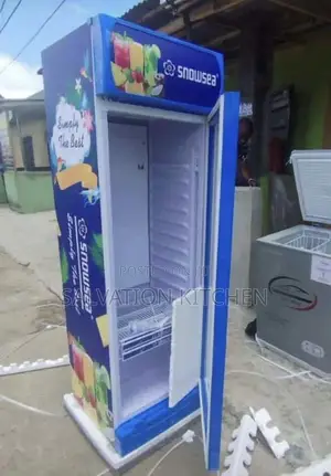 Single Door Snowsea Chiller