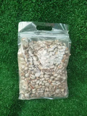 Castor Seeds 1kg