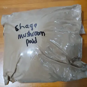 Chaga Mushroom Powder (From 50g)