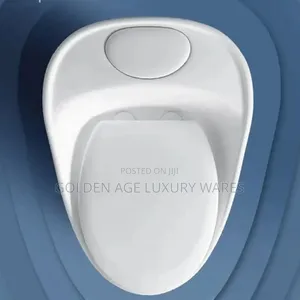 Plain White One Piece Executive Wc