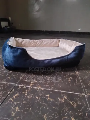 Dog Beg for Small Dogs and Puppies