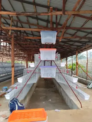 3 Tier Local Battery Cage