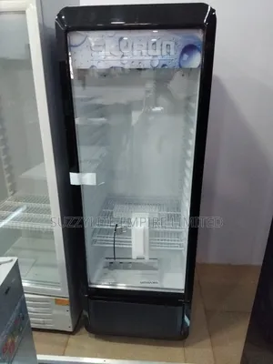 Skyrun Display Refrigerator 240 Liters Showcase Display Fridge